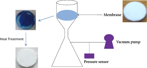 Schematic of membrane adsorption test.