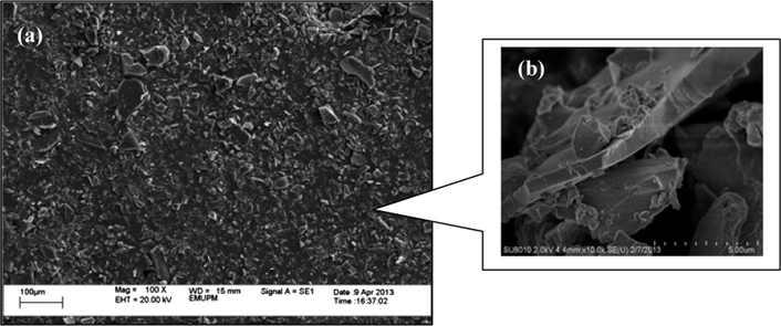 SEM images of ICS-SO3H catalyst at (a) 100× and (b) 10,000× magnification.