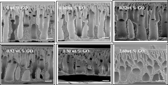 SEM images indicate the effect of GO on the membrane pore and membrane cross-sectional structure. Scale bars, 20 μm [adapted from Lee et al. (2013)].