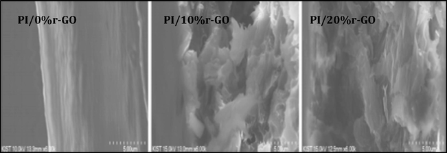 Scanning electron microscope micrographs of the fractured surfaces of PI/r-GO/PI composite PI: polyimide, r-GO: reduced graphene oxide [adapted from Zhu et al. (2012)].
