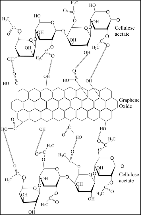 The interaction between cellulose acetate CA and graphene oxide GO [adapted from Kabiri and Namazi (2014)].