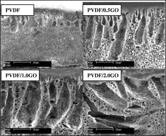SEM images of cross-sectional morphologies for PVDF/GO UF membranes [adapted from Zhao et al. (2013)].
