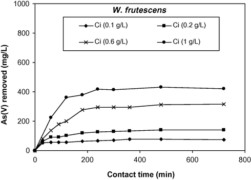 Effect of contact time and initial arsenate ion concentration on the removal of As(V) by W. frutescens: m/v = 25 g/l, pHi = 8.3, and temperature ∼22 °C.