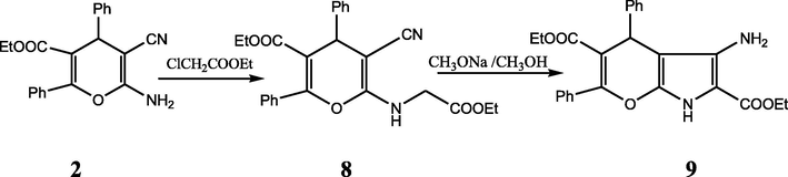 Synthetic pathway for the preparation of compounds 8 and 9.