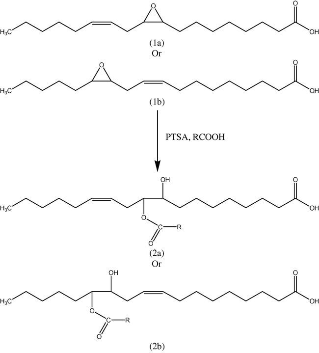 Oxirane ring opening reaction of MEOA. Notes: 9-10-monoepoxy 12-octadecanoic acid (1a); 12-13-monoepoxy 9-octadecanoic acid (1b); 9-Hydroxy-10-oleioxy-12-octadecanoic acid (1b); 12-hydroxy-13-oleioxy-9-octadecanoic acid (2b); oleic acid (R).