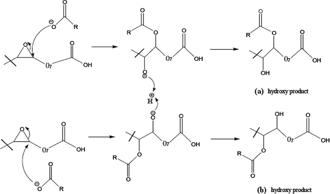 Mechanism for the MEOA ring opening, 10 or 13-hydroxy (a); 9 or 12-hydroxy (b).