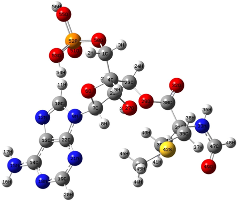 Structure of fMet with adenine.