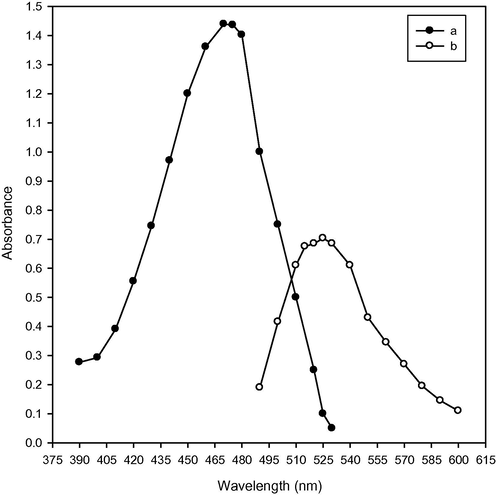 Absorption spectra: (a) 9.721 × 10−5 M rifampicin in methanol, (b) 2.066 × 10−4 M rifampicin in methanol + 7.0 × 10−3 M thorium(IV) in distilled water.