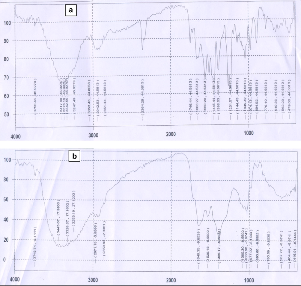 IR spectra of (a) free rifampicin and (b) Th(IV)-rifampicin complex.