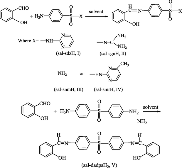 Synthesis of sulfa drug Schiff base ligands.