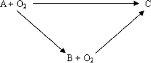 Sketch map of reaction process.