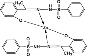Molecular structure of Zn (BzSO–HAP)-complex.