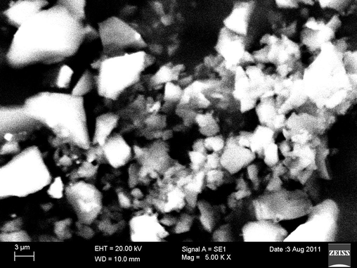 SEM photograph of the dendron 6.