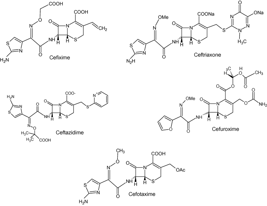 Structures of the cephalosporins studied.