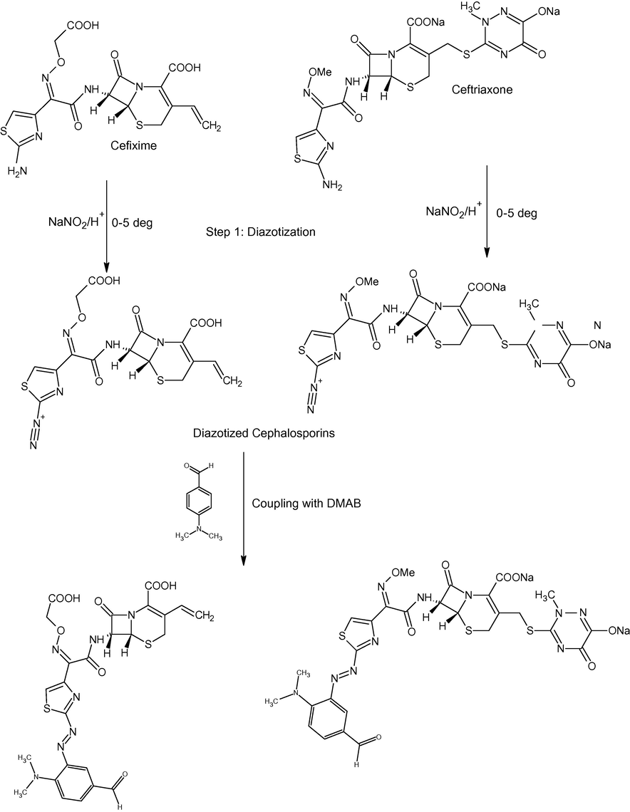 Proposed coupling patterns for the azo dye formation.
