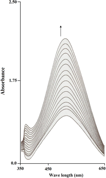 Monitoring the increase in the characteristic o-quinone absorption band at 390 nm as a function of time.