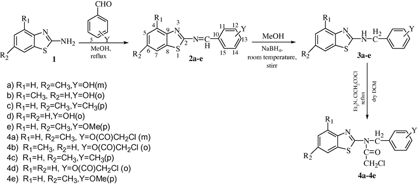 Reaction pathways for synthesis of 2a–4e.