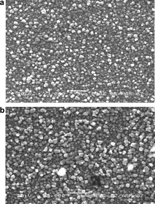 SEM photograph of electrodeposited on steel from a bath containing 0.10 M ZnSO4, 0.10 M NiSO4, 0.10 M FeSO4, 0.01 M H2SO4, 0.20 M Na2SO4 and 0.20 M H3BO3 at 5 mA cm−2 for different times (a) 10 min and (b) 30 min.