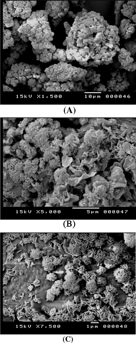 The SEM images of the polymer surface of terepolymer I: (a) ×1500, (b) ×5000 and (c) ×7500.