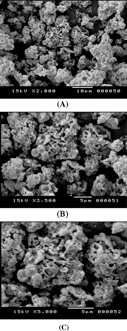 The SEM images of the polymer surface of terepolymer III: (a) ×2000, (b) ×3500 and (c) ×5000.