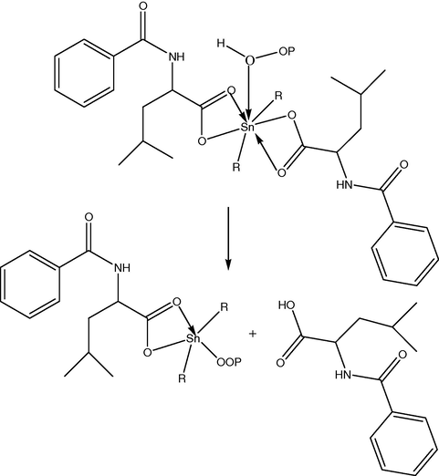 Suggested mechanism of photostabilization of complexes as peroxide decomposer.