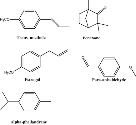 The molecular structures of the major bioactive essential oil components of Foeniculum vulgare.