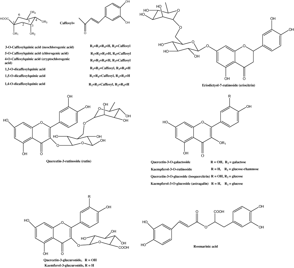 Molecular structures of some phenols and phenolic glycosides isolated from Foeniculum vulgare.