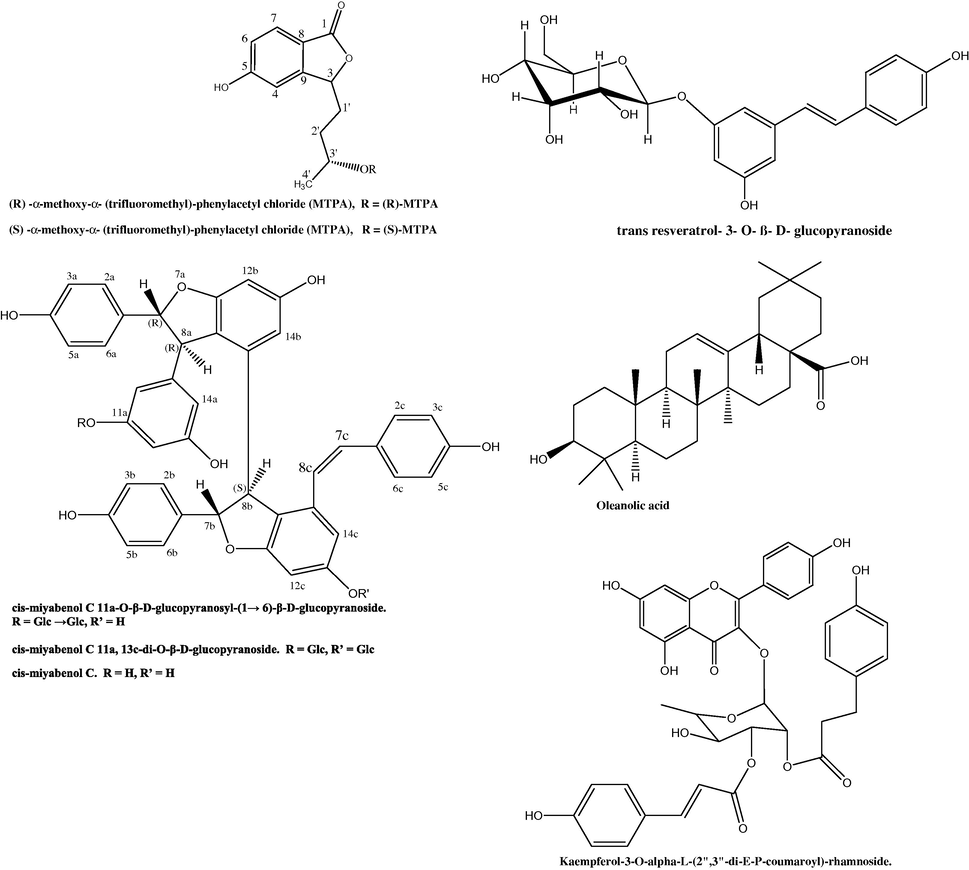 Molecular structures of some miscellaneous compounds isolated from Foeniculum vulgare.