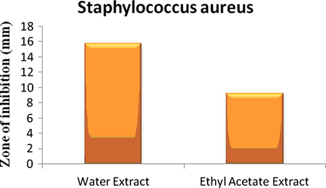 Antimicrobial screening of the extract against Staphylococcus aureus.