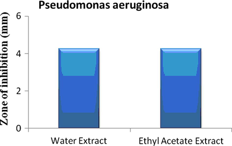Antimicrobial screening of the extract against Pseudomonas aeruginosa.
