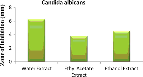 Antimicrobial screening of the extract against Candida albicans.