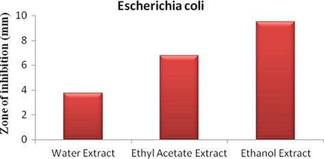 Antimicrobial screening of the extract against Escherichia coli.