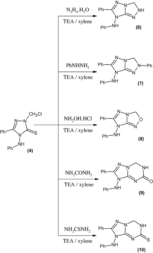 Synthesis of triazolo-, oxadiazolo- and triazinotriazoles.
