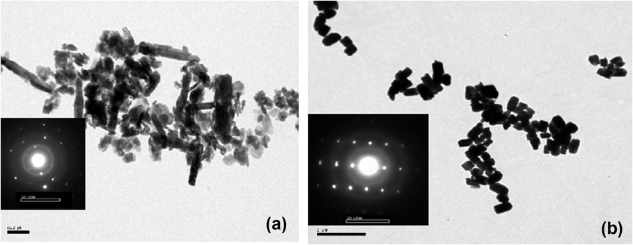 TEM images of ZnO particles (a) particle evolution at 2 min irradiation to microwaves (pH 7.2) (b) 10 min (pH 8.7).