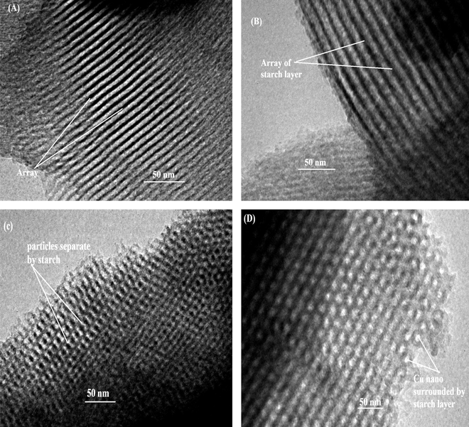 (A–D): TEM images of Cu nanoparticles.