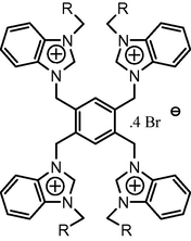 General formula of the tetrazolium salt.
