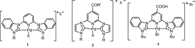 Pyridine-bridged palladium pincer complexes.