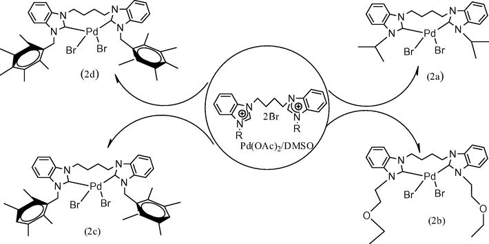 Synthesis of butylene bridged palladium(II) NHC complexes.