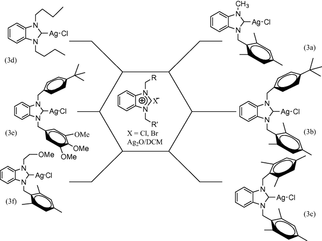 Synthesis of Ag(I)–NHC complex.