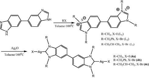 Synthesis of the new Ag(I)–NHC complexes.
