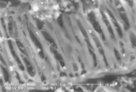 SEM image of LWAC.
