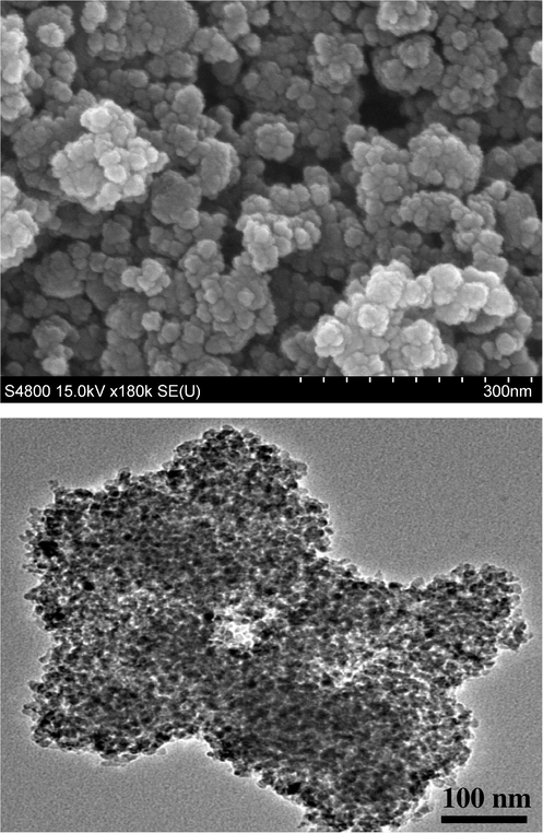 SEM (a) and TEM (b) photographs of N3-TiO2-350.