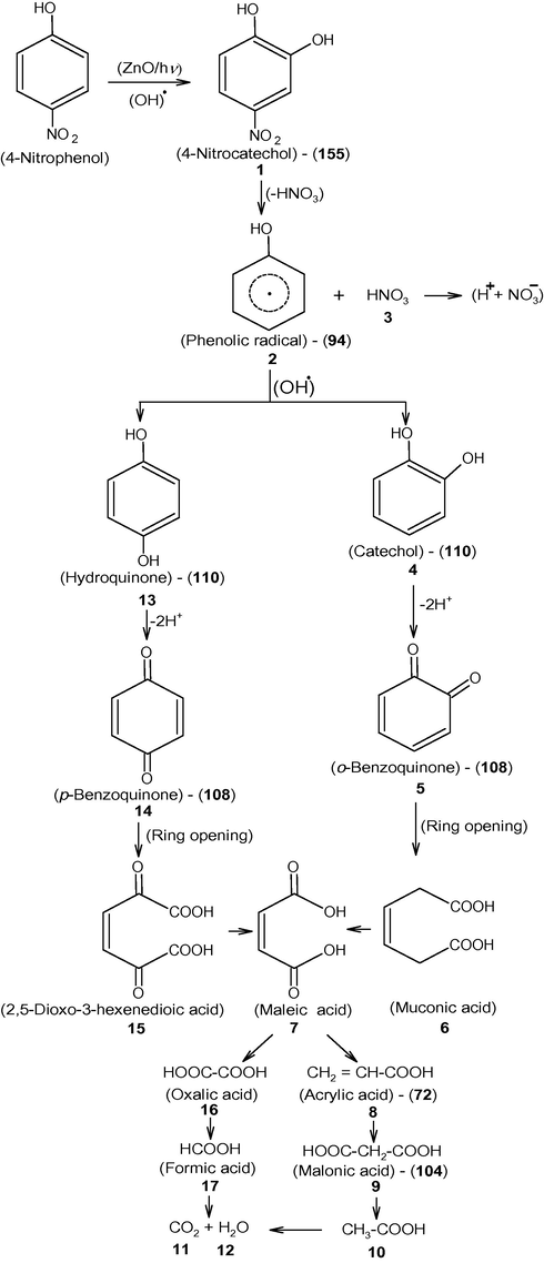 Proposed degradation pathway of 4-NP with ZnO.
