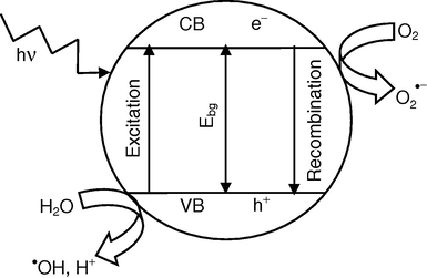 Mechanism of photodegradation.