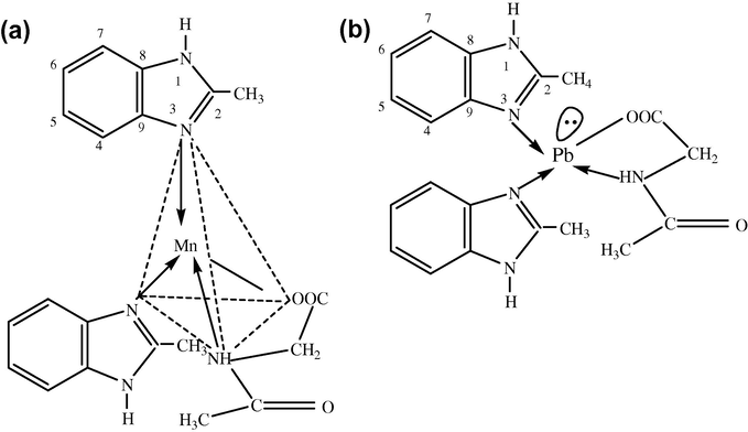 (a) Structure of the [Mn(B)2(Gly)]Cl complex and (b) Structure of [Pb(B)2(Gly)]NO3.