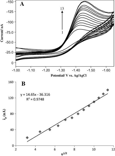 (A) The CVs of 0.004 mM pyruvic acid in the ammonia buffer of pH 8.2 ± 0.01 at HMDE, current range 10 μA. scan rates (mVs−1) (1) 10, (2) 20, (3) 30, (4) 40, (5) 50, (6) 60, (7) 70, (8) 80, (9) 90, (10) 100 (11) 110, (12) 120 and 130. (B) Relationship between peak current (ip) versus root of scan rate (υ1/2).