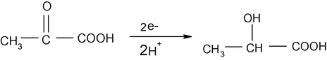 Probable reduction of pyruvic acid.