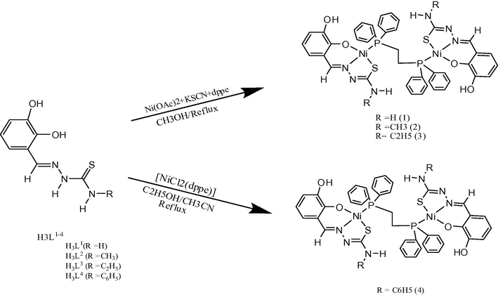 Schematic representation of ligands H3L1–4 and the synthesis of mixed nickel(II)–dppe complexes of polyhydroxybenzaldehyde.