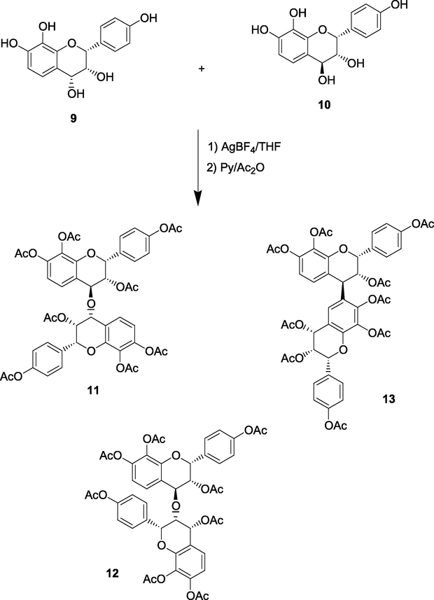 Synthesis of ether-linked proteracacinidins 11 and 12 and the C–C coupled analogue 13.
