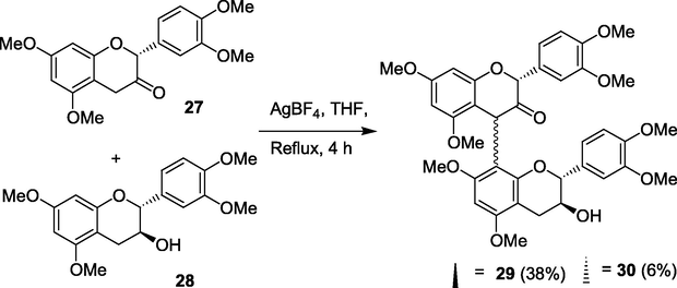 Condensation reaction between 27 and 28.